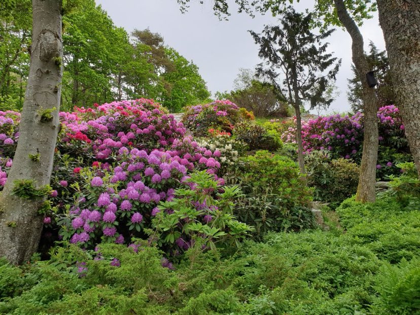 Göran Berghs trädgård